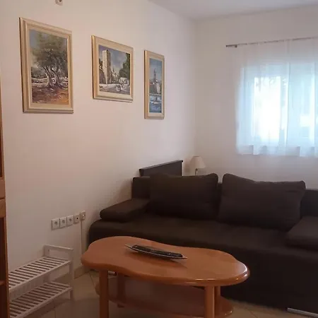 公寓 Marelja - Free Private Parking And Balcony 扎达尔