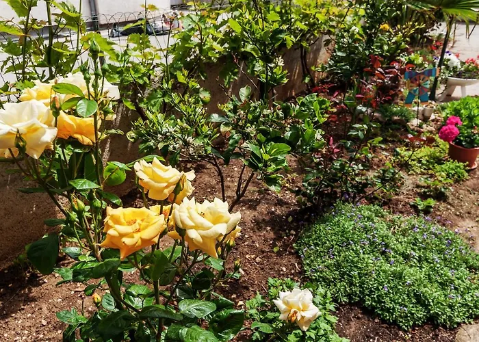 Marelja - Private Parking And Balcony * ザダル